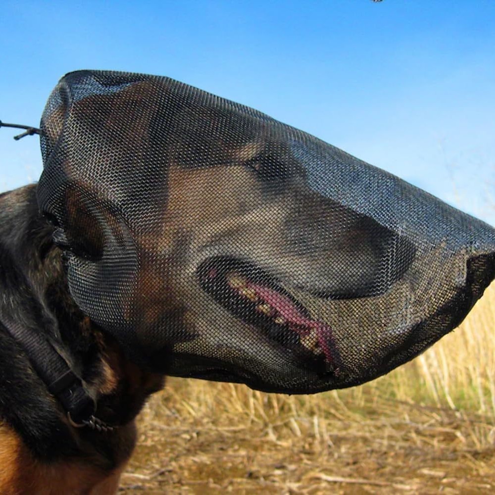 Outdoor Adventure Walks - Mesh Dog Mask Adjustable Insect Bite