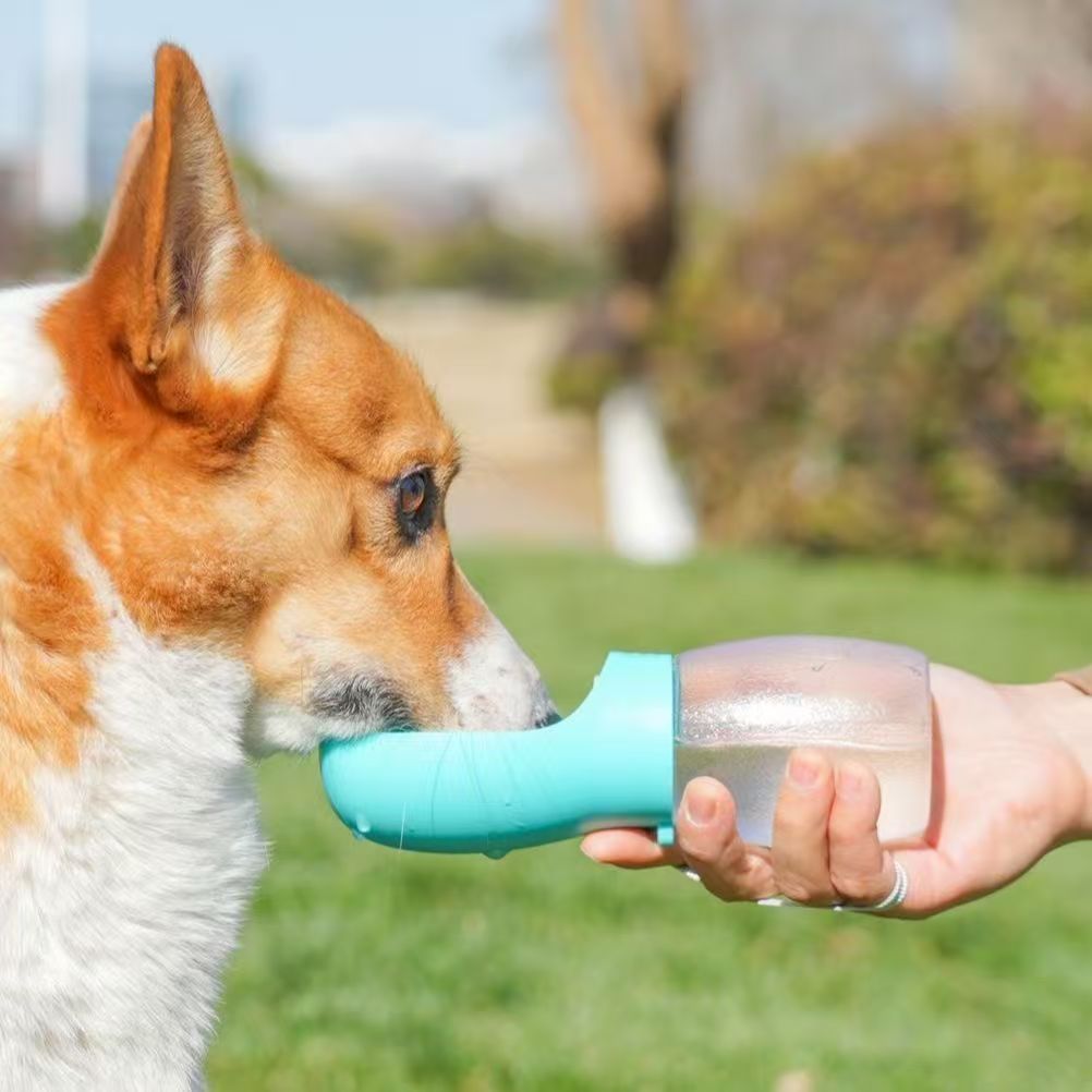 Portable pet water bottle for  - Outdoor Adventure Walks ulasan dan harga