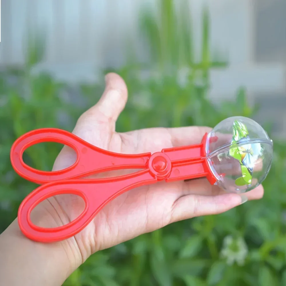 Colorful Large Bead Bug Catchi - Outdoor Adventure Activities ulasan dan harga