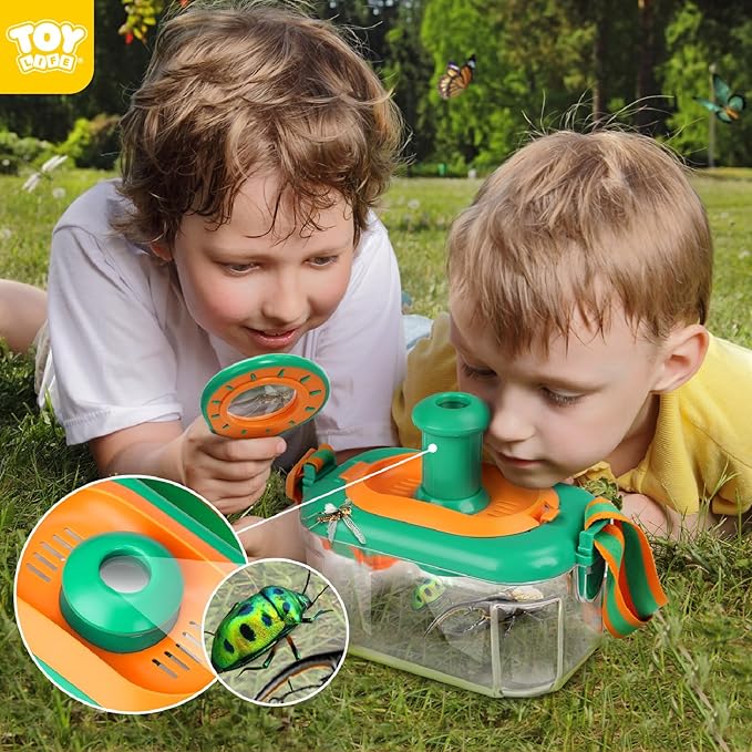 Children's Insect Butterfly Ca - Outdoor Adventure Activities ulasan dan harga