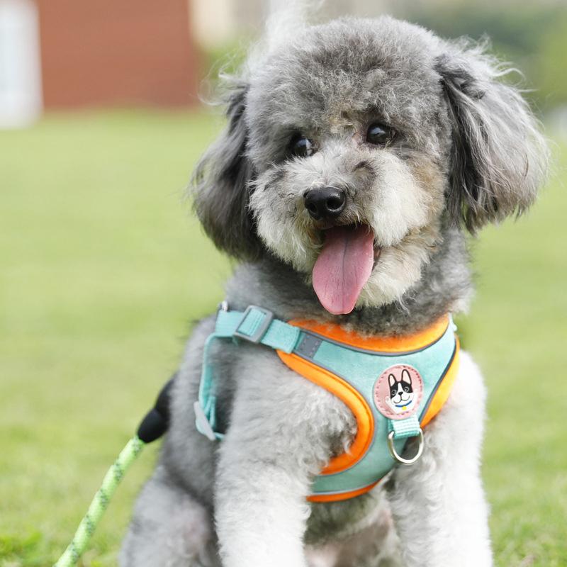 Lightweight Adjustable Dog Har - Outdoor Adventure Walks ulasan dan harga